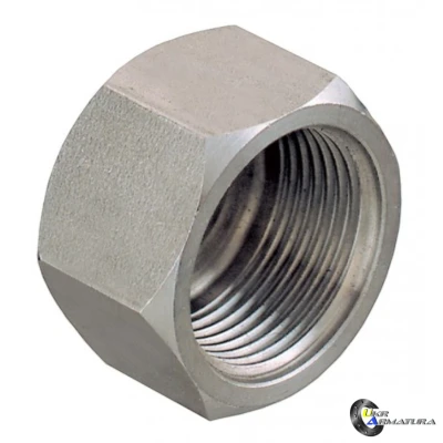 Заглушка нерж. AISI-304 BP Ду40 G1 1/2 Заглушка нерж. AISI-304 BP Ду40 G1 1/2